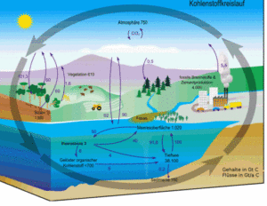 Bild 1. Diagramm des Kohlenstoffkreislaufs. Schwarze Zahlen: Inhalt der verschiedenen Reservoire in Mrd. Tonnen Kohlenstoff (Gt. C), blaue Zahlen: Austausch von Kohlenstoff in Gt. Tonnen Kohlenstoff/ Jahr (Quelle: Wikipedia, [KOKR])